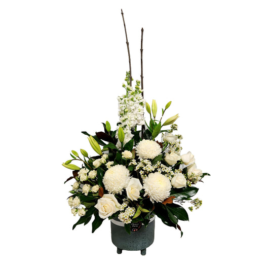 Serenity Sympathy Pot Arrangement