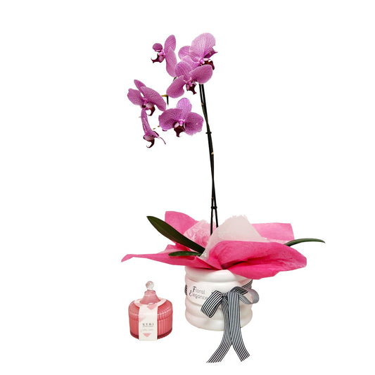 Phalaenopsis Orchid Plant & Candle