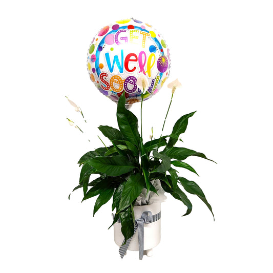 Get Well Peace Lily Potted Plant & Balloon