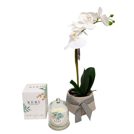 Phalaenopsis Real Touch Orchid Plant & Candle